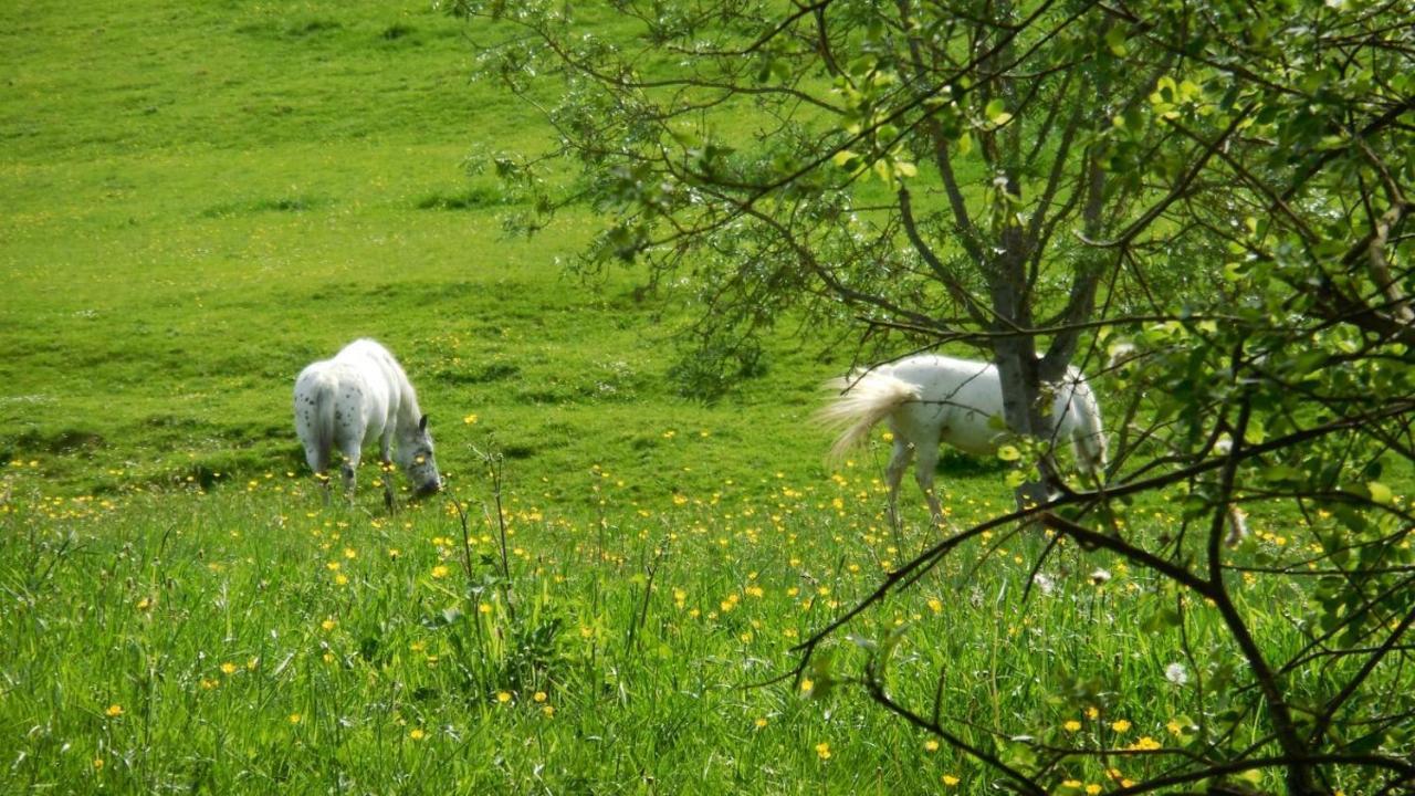 Appaloosa Villa Lormes Buitenkant foto